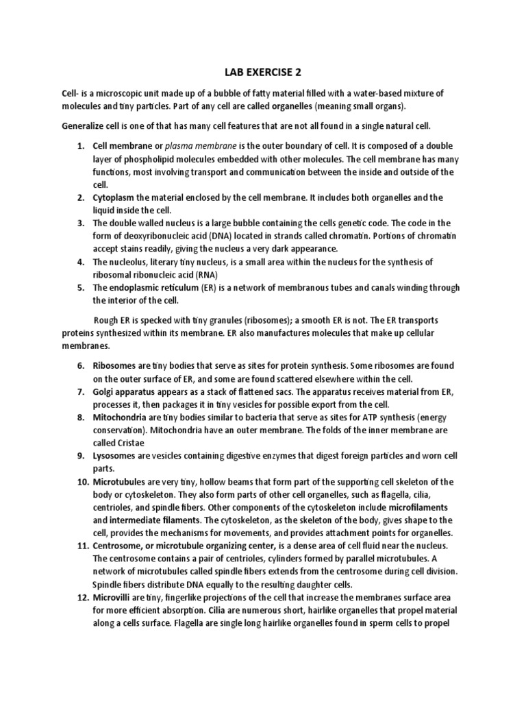 Lab Exercise 2 | PDF | Endoplasmic Reticulum | Cell (Biology)