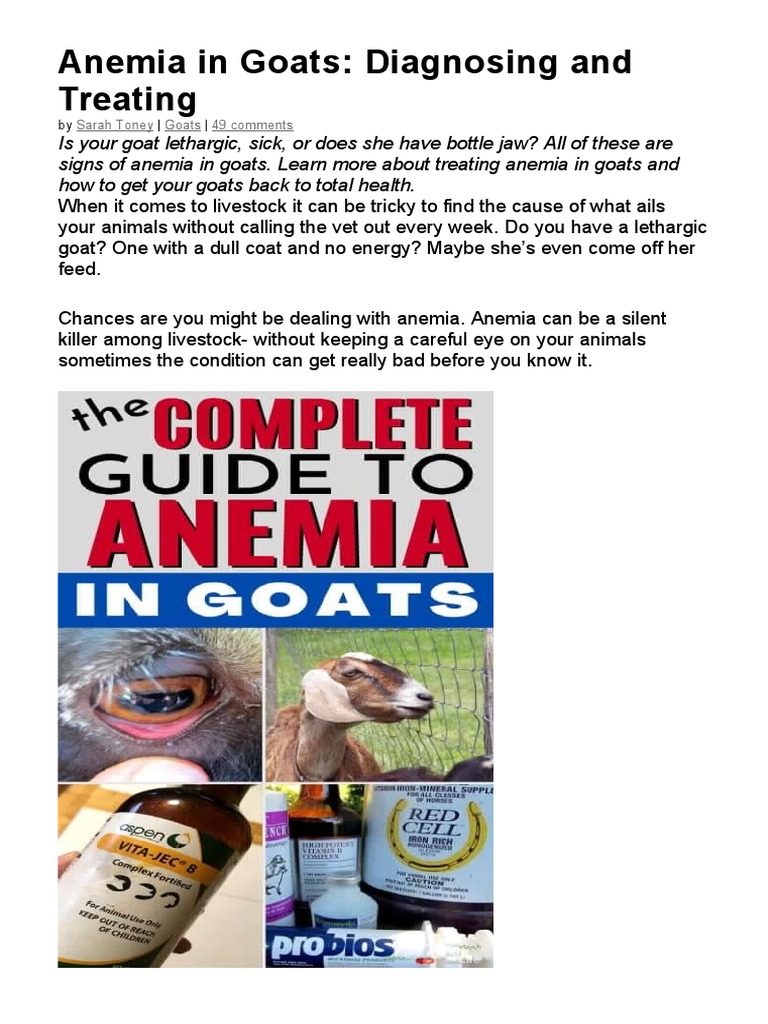 Anemia in Goats PDF Anemia Goat