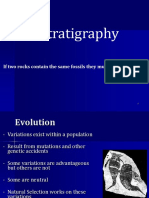 Biostratigraphy and Evolution