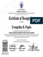 Virtual INSET Certificate of Recognition