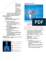 Ecg Reading - Your Heart's Rhythm and Electrical Activity. Placement of 12 Load Ecg