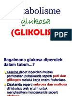 5 Glikolisis