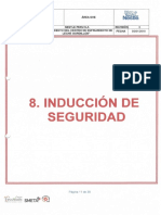 8-Inducción de Seguridad y Calidad I Nestlé.