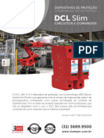 Flyer_DCL