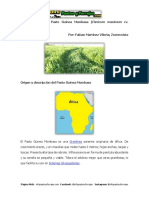 Ficha Técnica Del Pasto Guinea Mombasa (Panicum Maximum Cv. Mombasa)