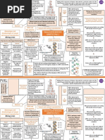 Edexcel GCSE BIOLOGY, Genetics Part 1: Sexual and Asexual Reproduction Meiosis DNA and The Genome