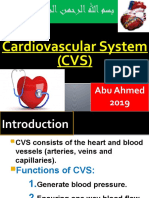 Cardiovascular System (CVS) : Abu Ahmed 2019