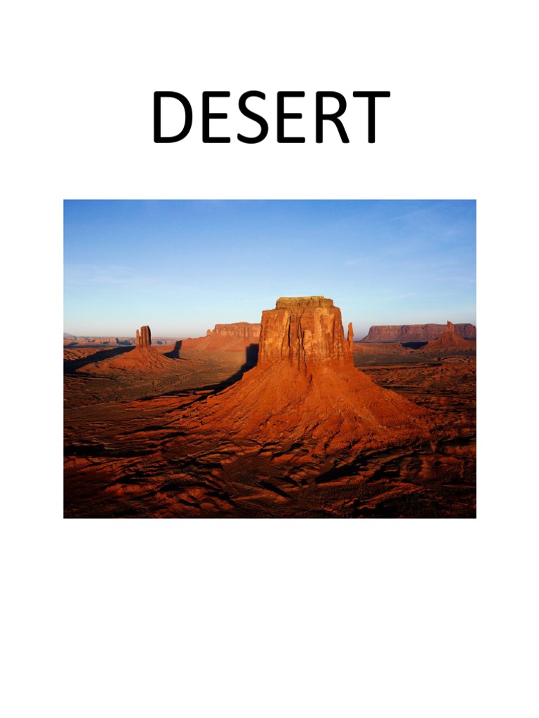 DESERT | PDF