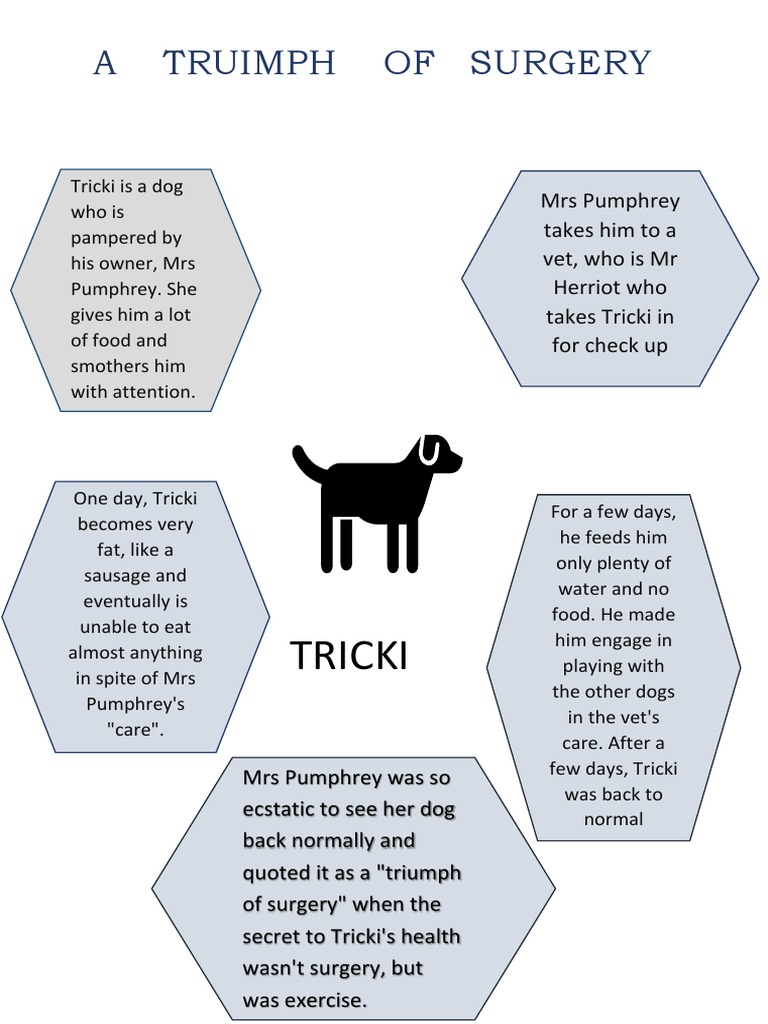 Concept Map | PDF
