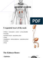 UGS - Male