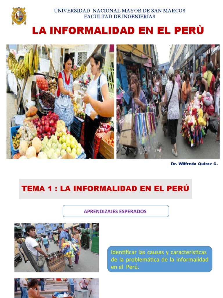 Causas y Consecuencias de la Informalidad en Perú | PDF | Perú | Economias