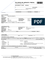 DeclaracionJurada IP Report