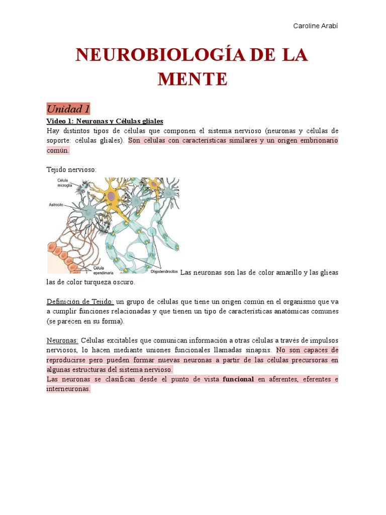 RESUMEN Neuro COMPLETO! | PDF | Sinapsis | Potencial de acción