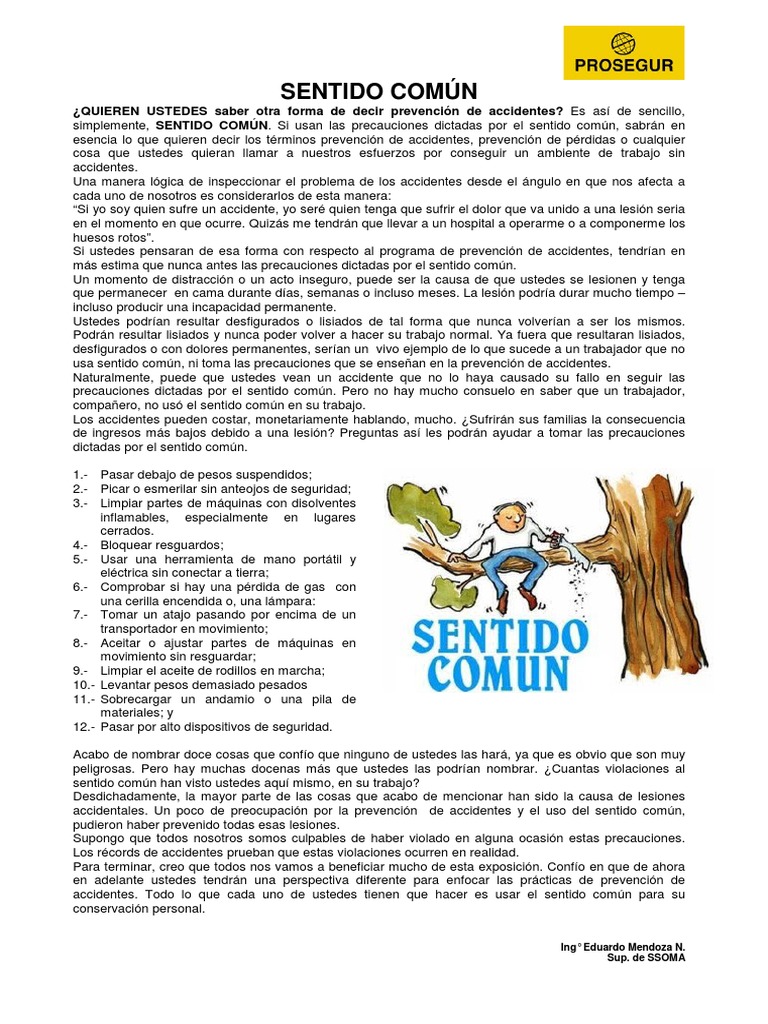 Prevención de Accidentes y Sentido Común | PDF | Sentido común
