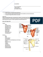 Upper Limbs Lab Sheet