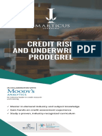 Credit Risk and Underwriting Prodegree