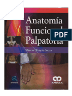 24.- Anatomia Funcional Palpatoria