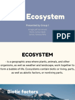 The Ecosystem: Presented by Group 1