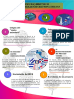 Infografia SICA