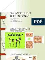 Órganos Que Se Pueden Donar