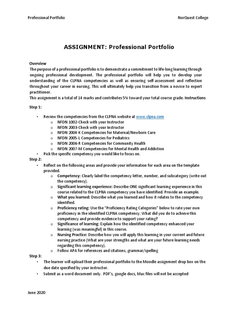Professional Portfolio Instructions PDF Learning Nursing