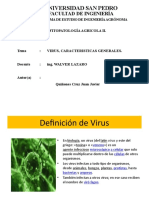 Virus agrícolas: Características generales y transmisión