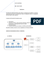 Ejercicio Organigrama (Nelson Daniel Bino Alvarez, 2432-17-13274)