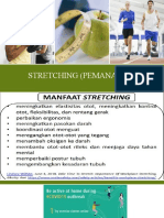 Stretching Penting Untuk Olahraga