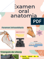 Examen Oral Anatomia