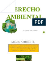 DERECHO AMBIENTAL - CLASE No.1