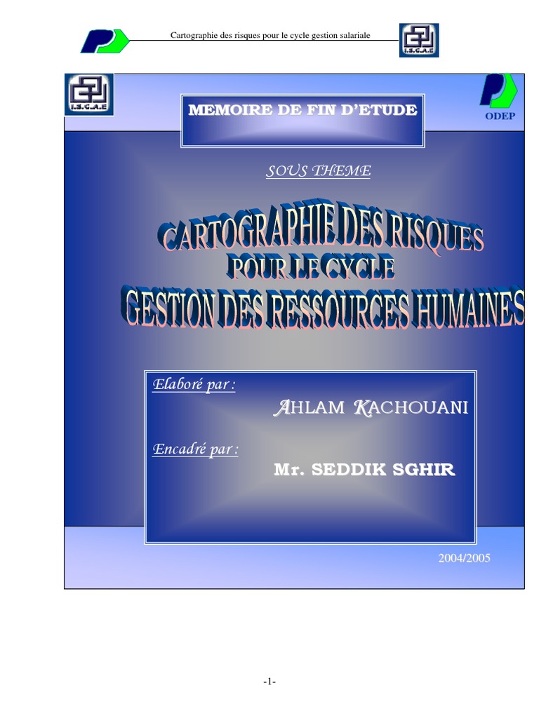 Cartographie des Risques RH ODEP | PDF | Risque | Audit