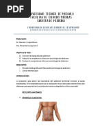 Guia Taller de Semiologia de Abdomen - Utm