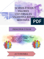 Reyes Montaña Valentina - Principio y Valores