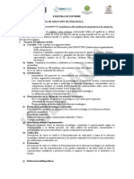 Esquema de Informe Alt Solucion