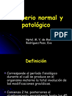 6939451-Puerperio-normal-y-patologico