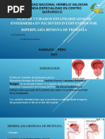 Maniobra de Crede | PDF | Urología | Sistema genitourinario