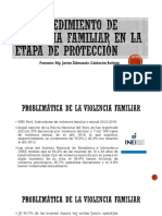 El Procedimiento de Violencia Familiar en La Etapa de Protección SESION 4