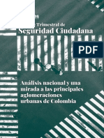 Informe Trimestral de Seguridad Ciudadana V2