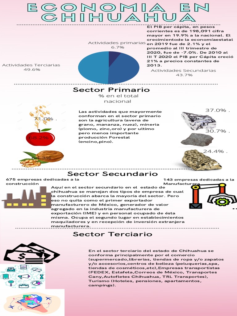 Actividades Económicas en Chihuahua | PDF | Economias