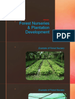 Forest Nurseries & Plantation Development