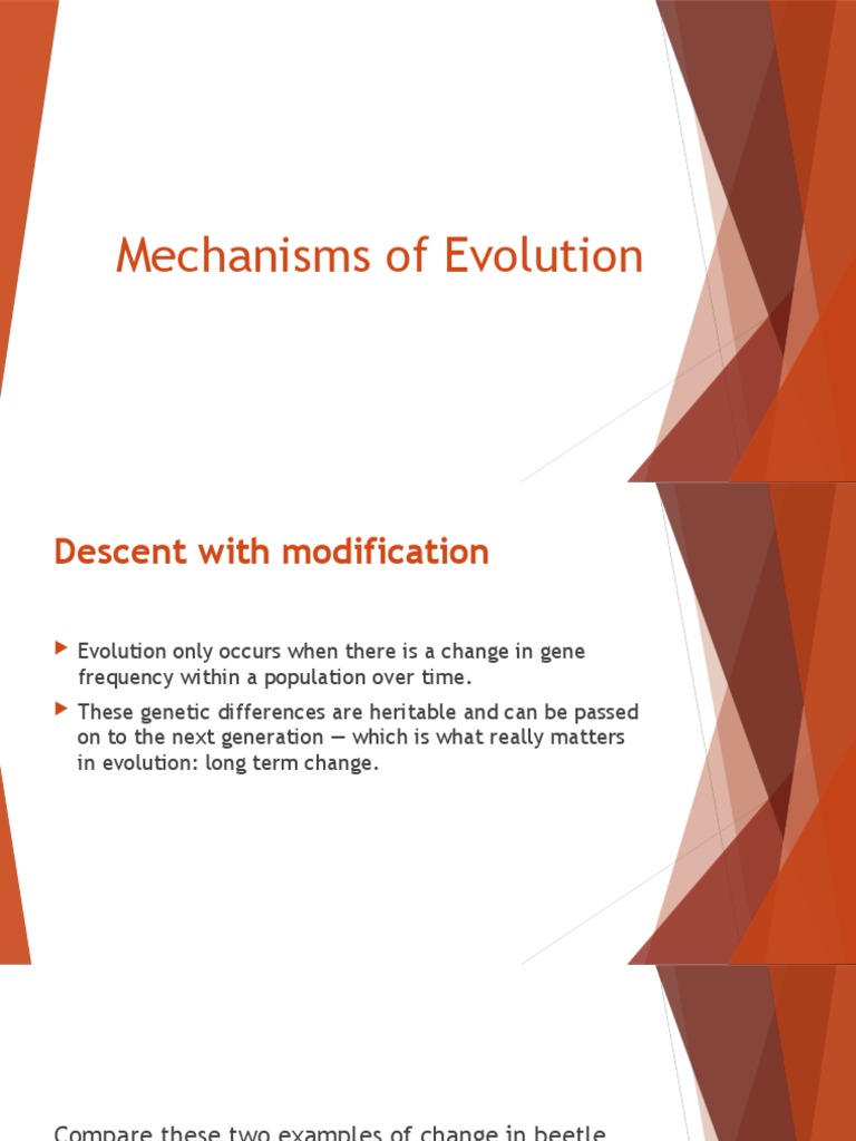 Mechanisms of Evolution Explained | PDF | Evolution | Natural Selection