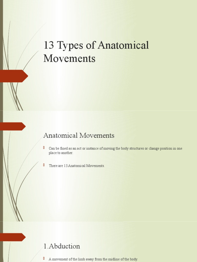 13 Types Of Anatomical Movements Pdf Anatomical Terms Of Motion