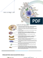 4 - The Living Cell