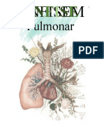 Enfisema Pulmonar