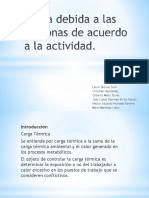 pdfcookie.com_carga-debida-a-las-personas-de-acuerdo-a