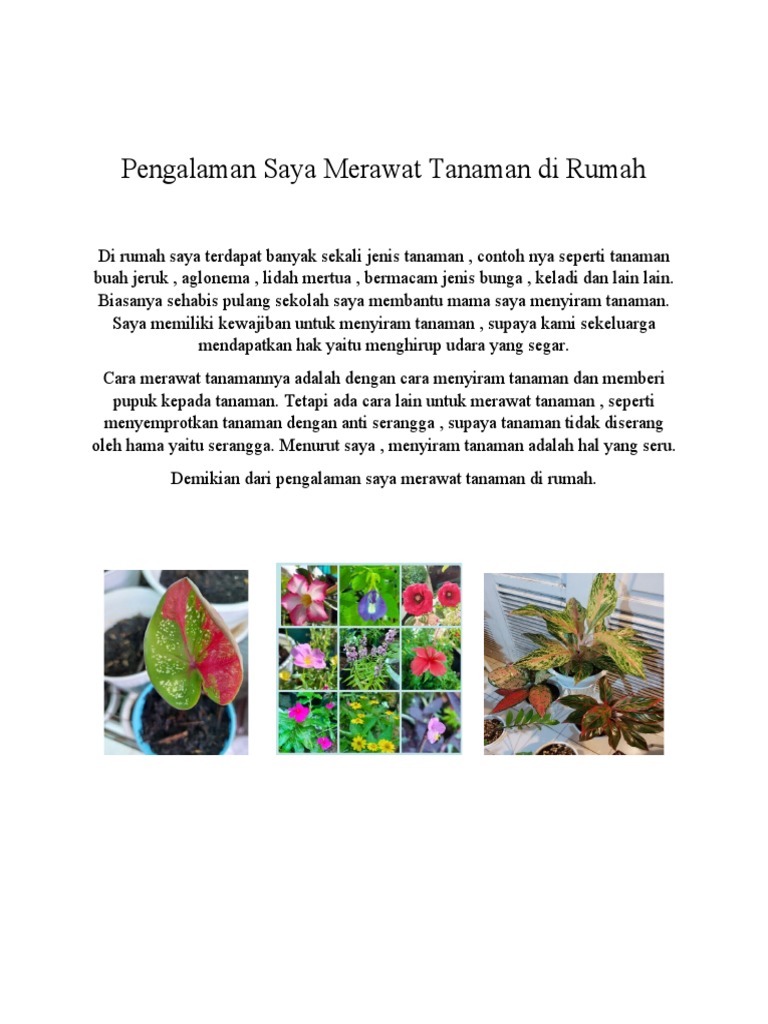 Pengalaman Saya Merawat Jerawat Hormon Selama 6 Bulan