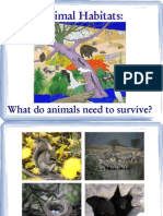 Animal Habitats