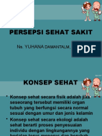 3. Persepsi Sehat Sakit