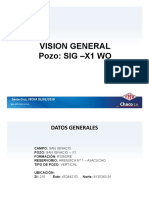 Visión General Proyecto SIG-X1