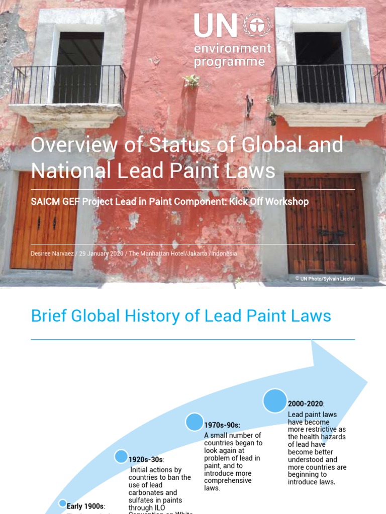 Overview Status Global National Lead Paint Laws PDF Lead United